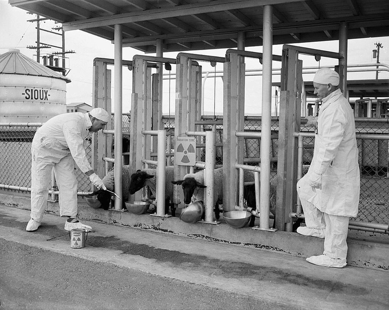 Illustration for article titled The Secret 1949 Radiation Experiment That Contaminated Washington
